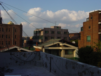 DSC07579.JPG